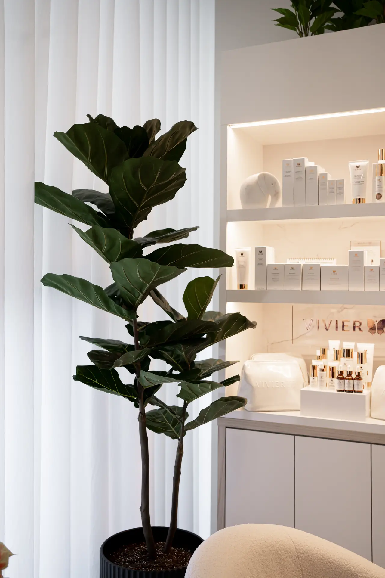accueil de la clinique Médibotique avec le présentoir de produits Vivier